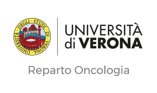 Università di Verona